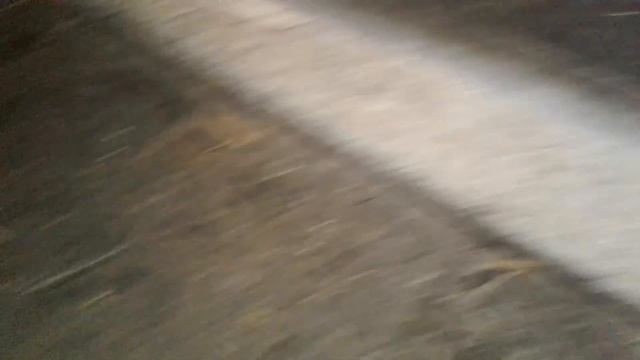 Добавка от которой куры несутся круглый год. смотреть онлайн