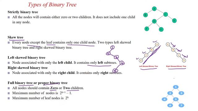 55 Types of Binary trees смотреть онлайн