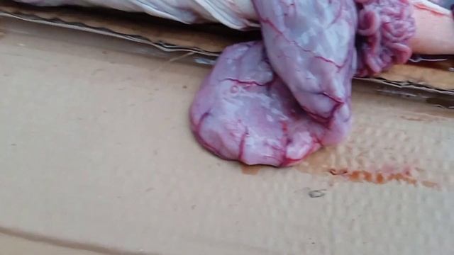 как разделать налима гайд по разделке рыбы #27...:01 смотреть онлайн