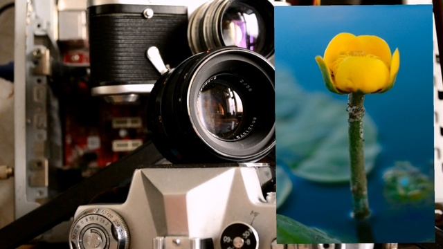 Как стать фотографом с нуля смотреть онлайн
