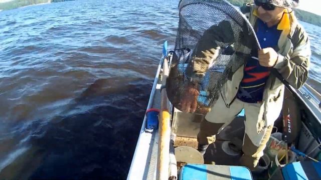 РЫБАЛКА ЛЕЩА на банку на Волге. смотреть онлайн