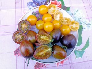 НУ ОЧЕНЬ СЛАДКИЕ ЧЕРРИ!!! Проверенные Сибирью! Сорта томатов Черри.