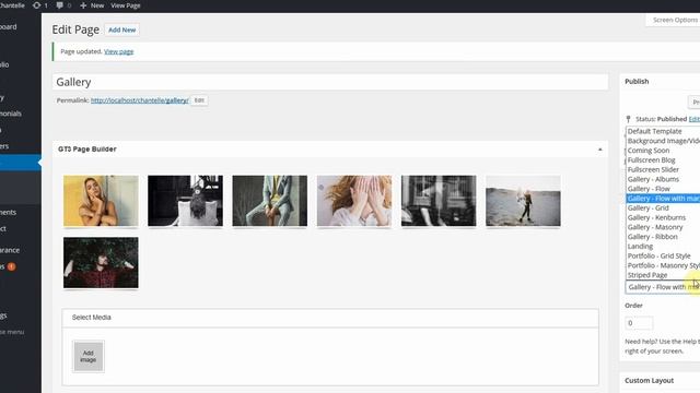 How to build Gallery layouts - Chantelle - Photo WordPress Theme смотреть онлайн