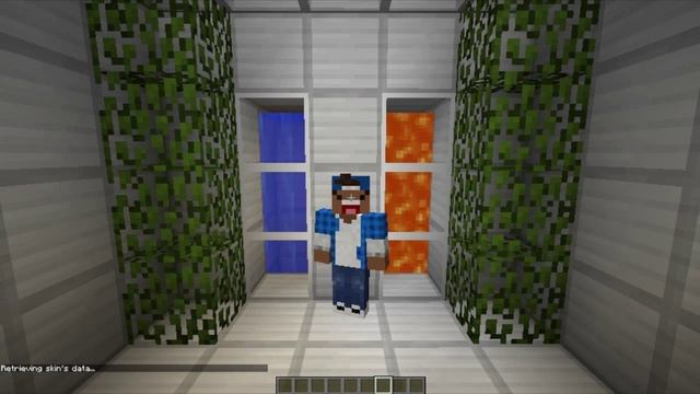 Custom Skin Plugin | Minecraft смотреть онлайн