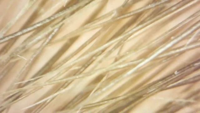 Прибор для современного мастера | Цифровой микроскоп Tashe Professional