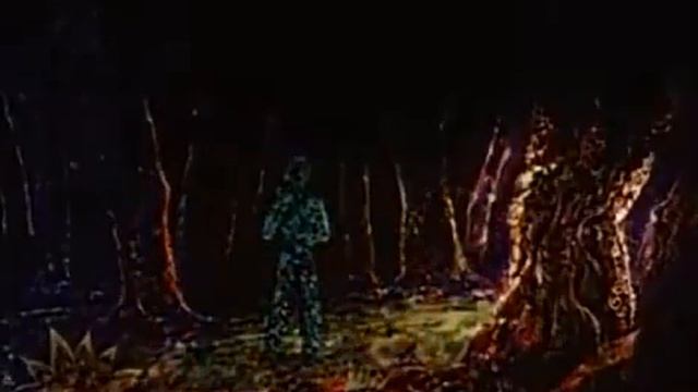Butterfly 1972