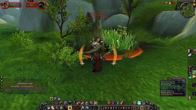 World of Warcraft Mists of Pandaria : Что делать когда апнул 90 уровень в игре =)) смотреть онлайн