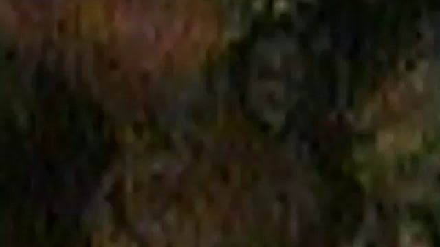 1995-0829 In the triangular bone there is a power called Kundalini, Buenos Aires, Argentina, DP-RAW смотреть онлайн