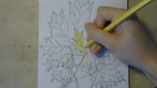 как нарисовать лист клена смотреть онлайн