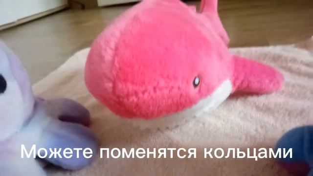 14 февраля 2022 года. Свадьба Луни и Фели ☺ смотреть онлайн