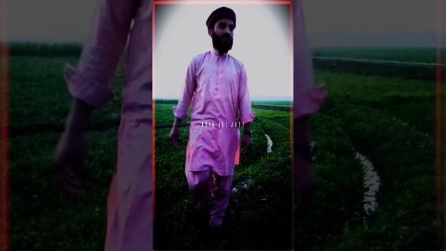 WhatsApp Status | Islamic video | Urdu shayeri | poetry video смотреть онлайн