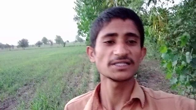 Jawan TEASER Review Honestly | Brooklyndar-The Explorer смотреть онлайн