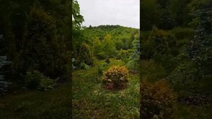 Сибирь.Алтайский край Село Алтайское.