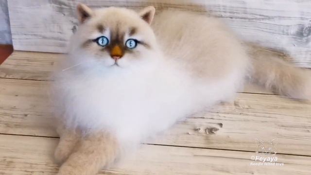 Кошка Аврора. смотреть онлайн