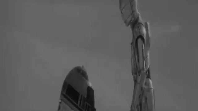 Завтра корень имбиря