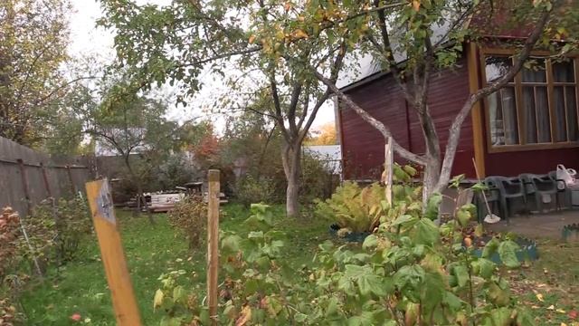 тест камеры CANON HF G30