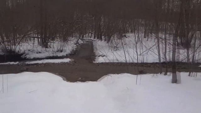 По реке Куба: Дикий термальный источник и водопады. смотреть онлайн
