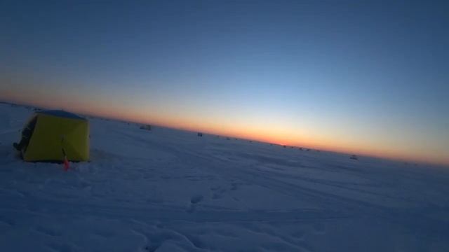 Отчёт Уелги 19. 02. 2022 г. смотреть онлайн