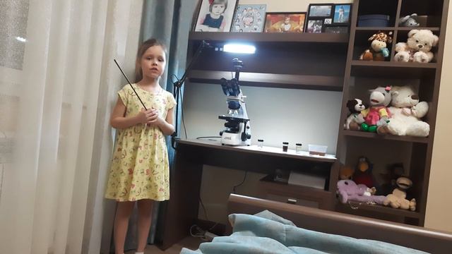 НПК исследовательская работа: "Озеро Байкал" Шнякина Злата смотреть онлайн