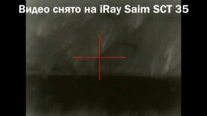 Охота на косулю с подхода. Тепловизор iRay saim SCT 35 и rico RL 42 .