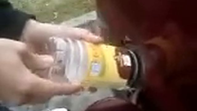 odpalanie na oleju rzepakowym 1.8 Diesel ford escort rzepak / start on colza oil poland смотреть онлайн