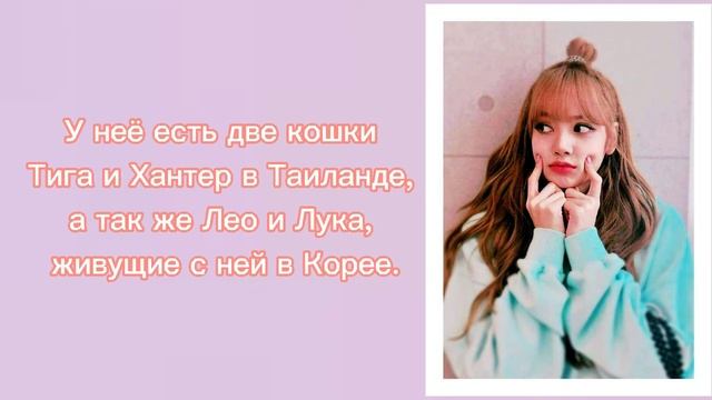 Факты о Лисе Манобан: BLACKPINK HOUSE смотреть онлайн