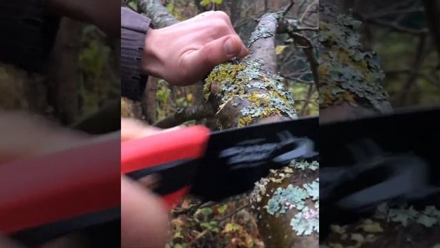 Чем резать сухостой в любимом саду | Садовые японские пилы Sheath Curved Pruning Saw Takagi смотреть онлайн