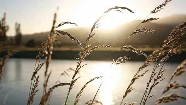 Meditation Musik (meditation) Nature,Relaxing,Meditation Relaxing Ambient HD