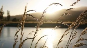 Meditation musik (meditation) Nature,Relaxing,Meditation Relaxing Ambient HD