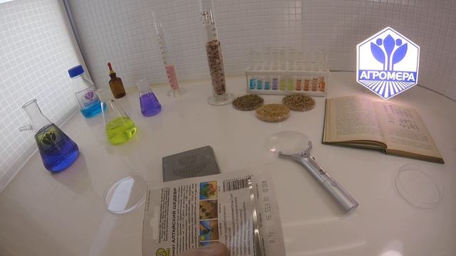 Томат Алтайский шедевр. Аэлита смотреть онлайн