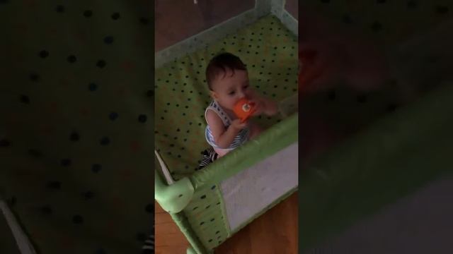 Этот чудесный манеж нам дали нам авито бесплатно смотреть онлайн