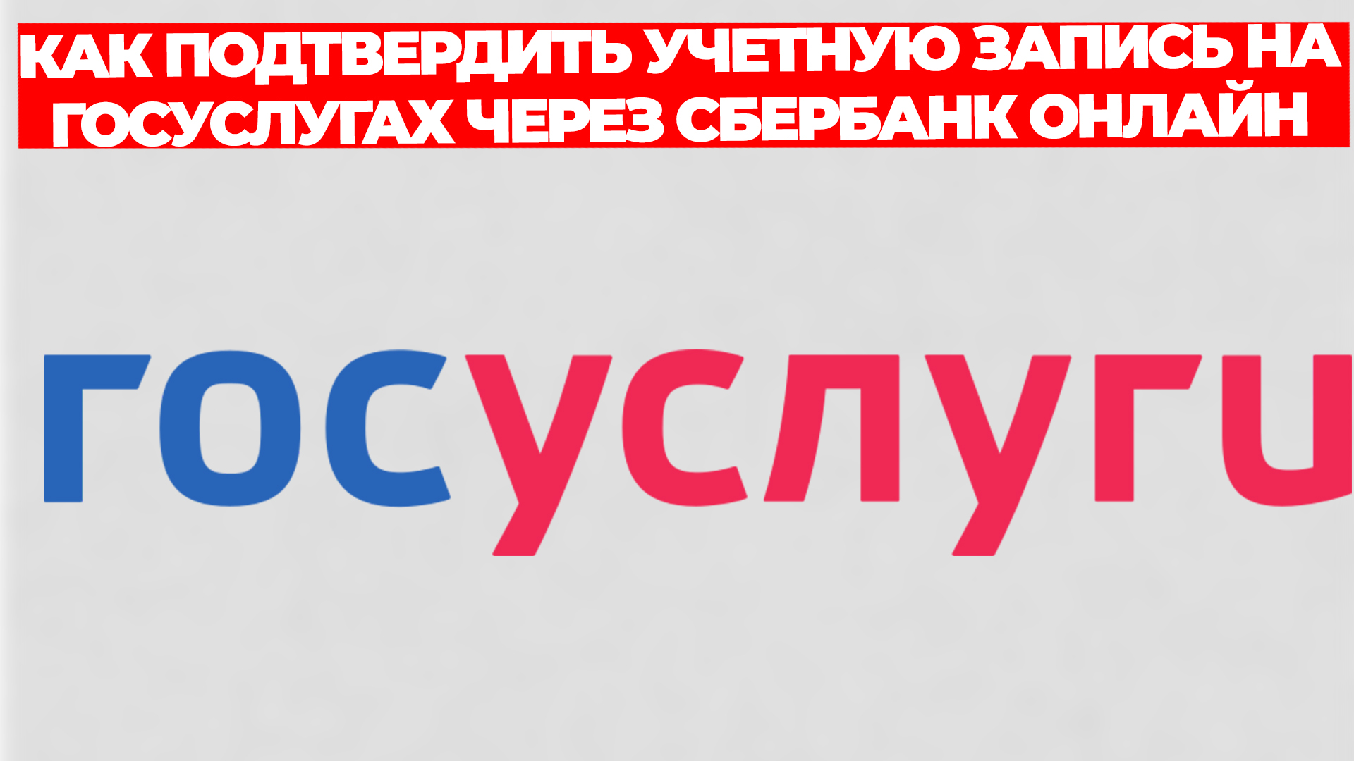 Всезнающий Енот