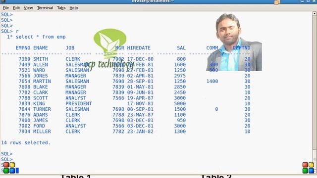 Retrieving Data Using the SQL select statement in Hindi смотреть онлайн