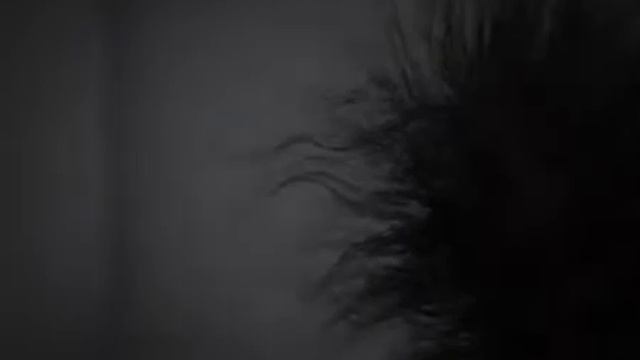 Адская белочка 2. смотреть онлайн