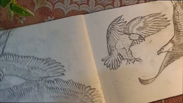 Sketchbook Tour смотреть онлайн