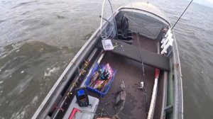 Казанка без булей и Suzuki DT 9 9 AS.