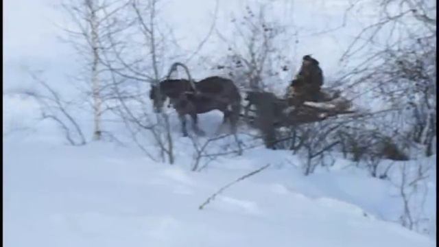 Откуда дровишки? смотреть онлайн