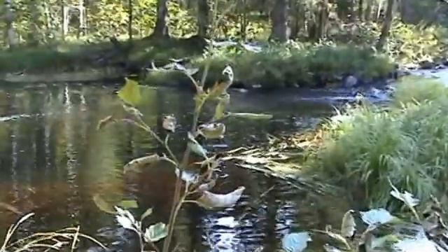 В поисках новых мест смотреть онлайн