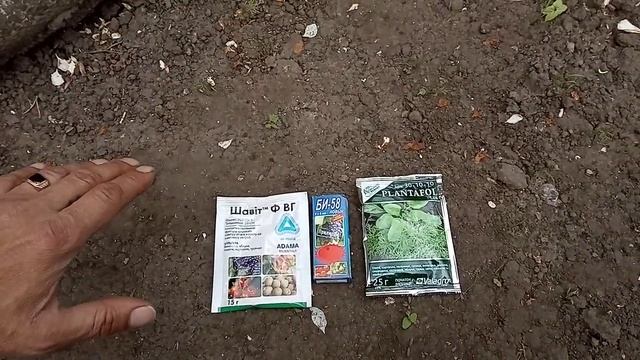 Чем обработать виноград весной. Первая обработка по пятому листу. смотреть онлайн