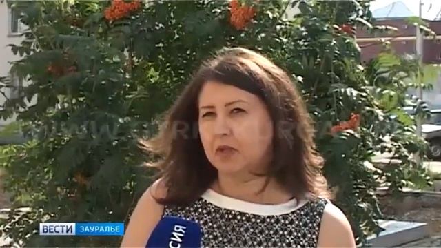 Курганцы хоронят домашних животных на несанкционированных кладбищах, а как надо смотреть онлайн