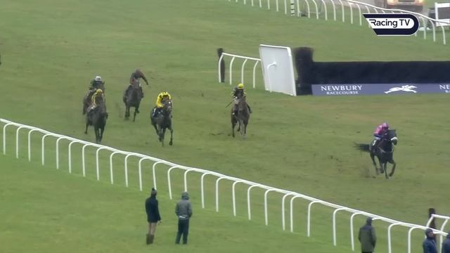 "I'm shell-shocked!" - JUPITER DU GITE springs a 66-1 shock at Newbury смотреть онлайн