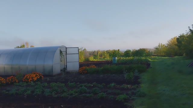 Из города в деревню/Навела красоту/ смотреть онлайн