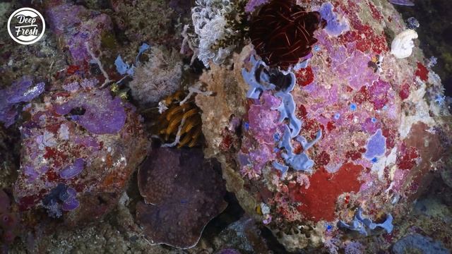 Summer Music Mix 2023 ? Best Of Vocals Deep House ? David Guetta, Rema, Alan Walker, Miley Cyrus #0