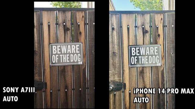 iPhone 14 pro max VS Sony A7iii .(Camera comparison).Apple went wild!!! смотреть онлайн