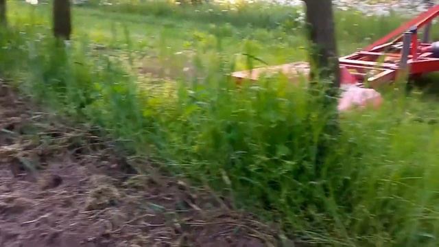 ФРЕЗА САДОВА смотреть онлайн