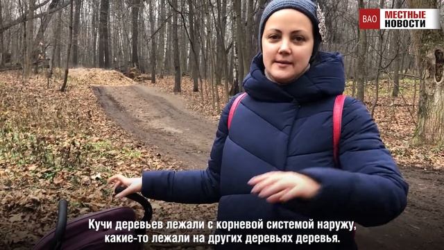 Почти 200 гектар Лосиного острова очистили от повальных деревьев смотреть онлайн