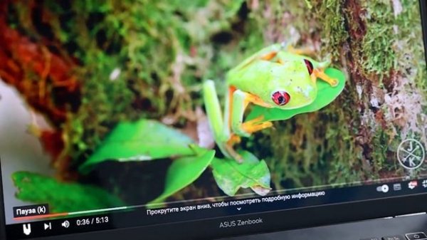 Обзор на ZenBook 14 OLED (UX3402). Сила и элегантность в новом формате