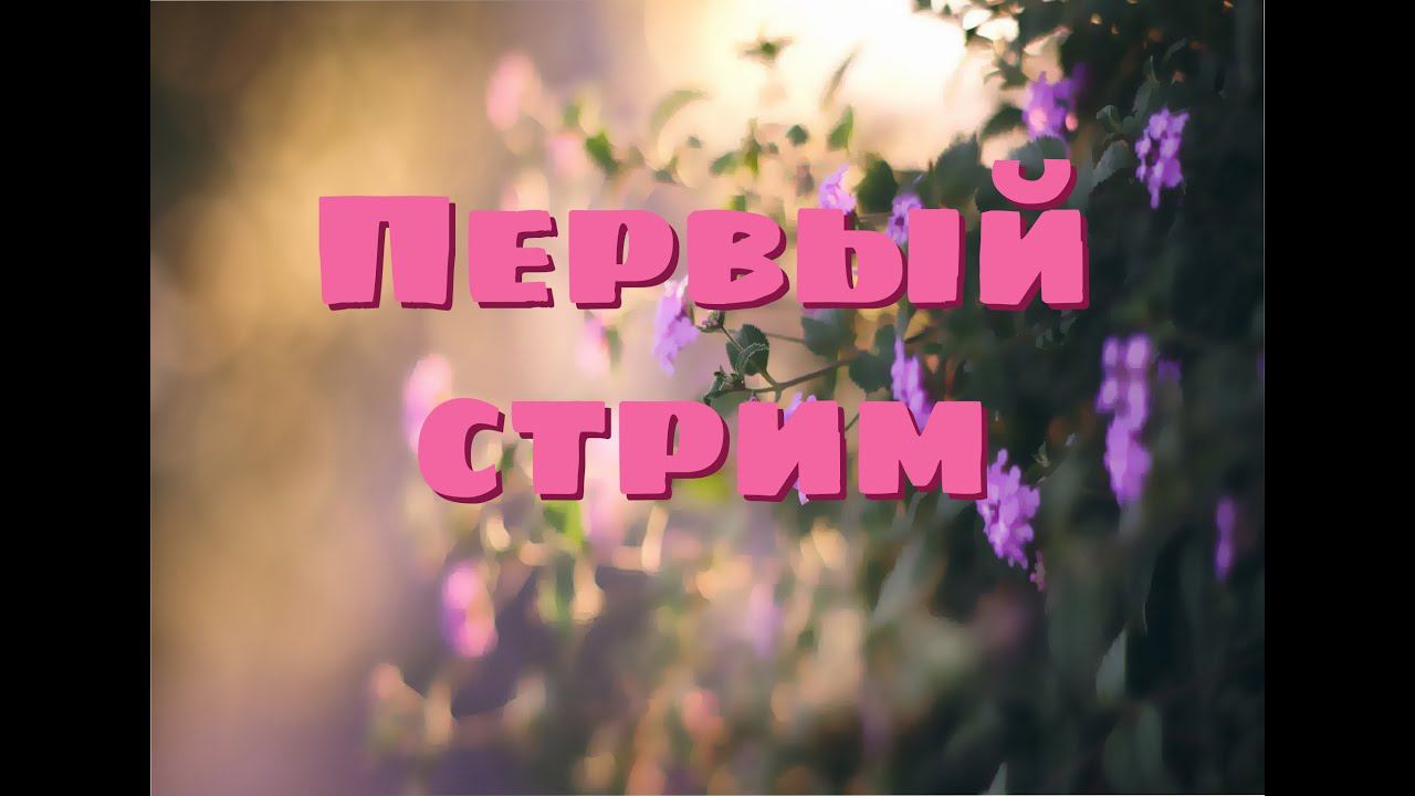 Первый стрим! Отвечу на ваши вопросы! смотреть онлайн