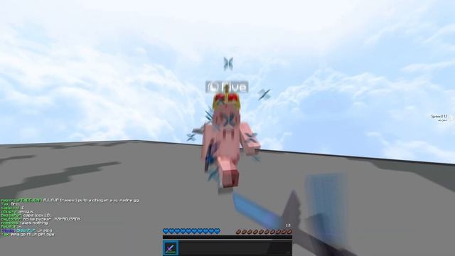 Boxing A 10,000$ Minecraft Account
