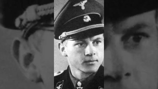 МИХАЭЛЬ ВИТТМАН: ЛУЧШИЙ ТАНКИСТ ГЕРМАНИИ #виттман #танки #танкист смотреть онлайн